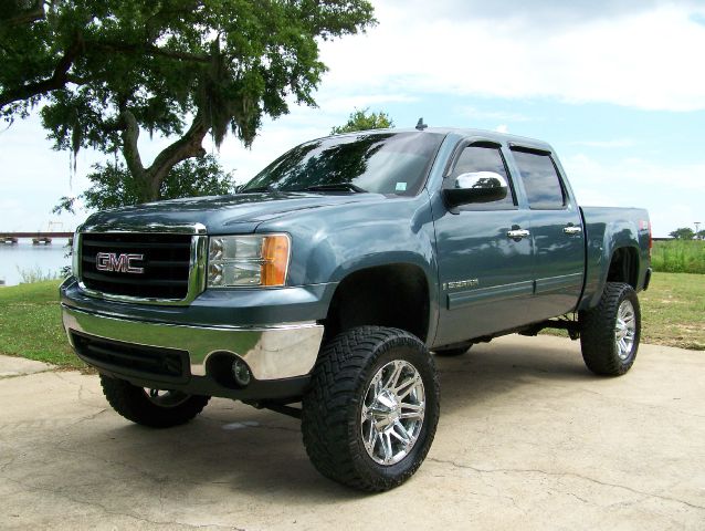 GMC Sierra 1500 2007 photo 2