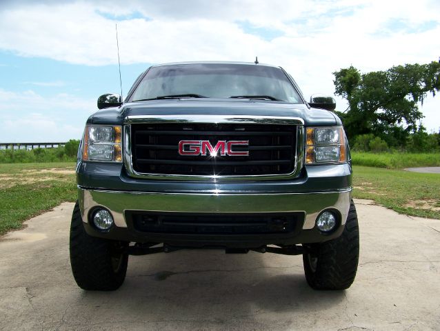 GMC Sierra 1500 2007 photo 3
