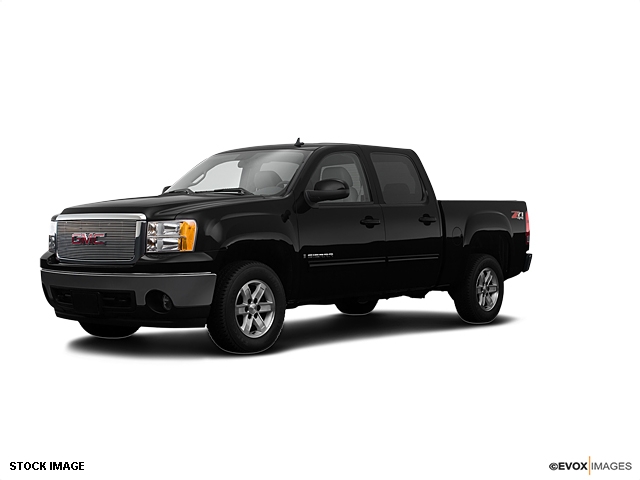 GMC Sierra 1500 2008 photo 3