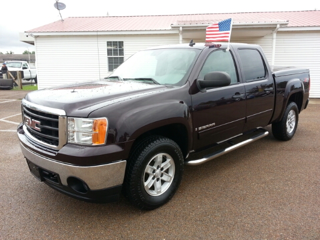 GMC Sierra 1500 2008 photo 10