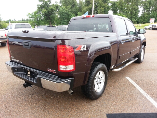 GMC Sierra 1500 2008 photo 12
