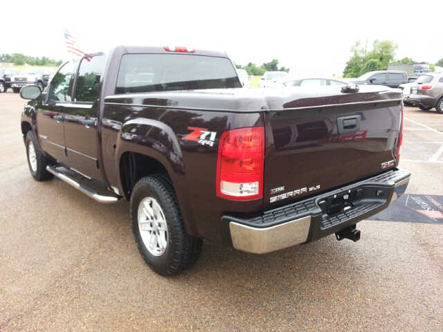 GMC Sierra 1500 2008 photo 13