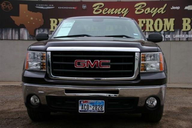 GMC Sierra 1500 2009 photo 2