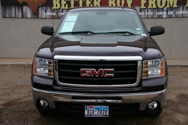 GMC Sierra 1500 2009 photo 22