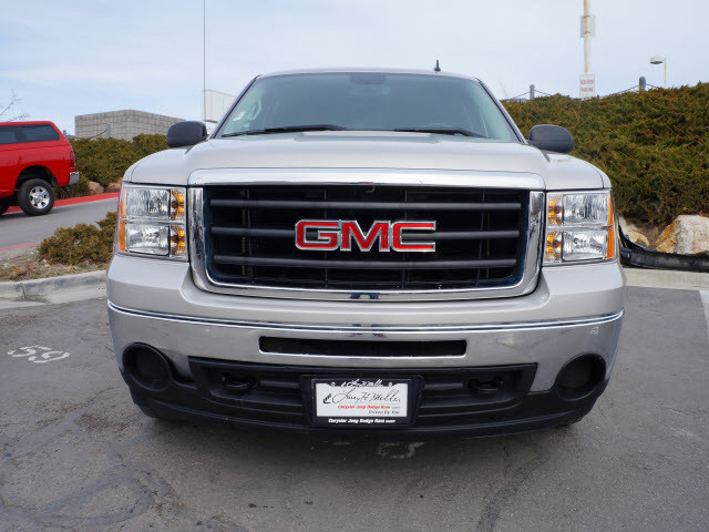 GMC Sierra 1500 2009 photo 2