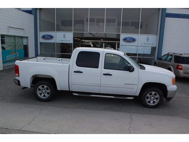GMC Sierra 1500 2009 photo 3