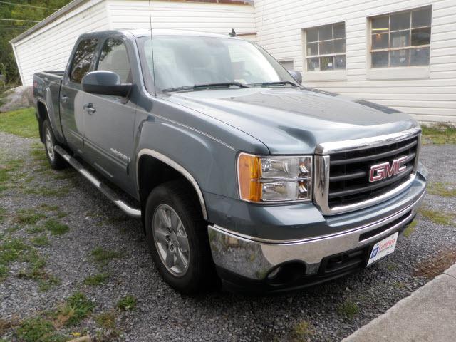 GMC Sierra 1500 2009 photo 3