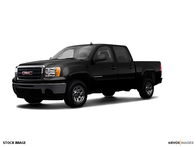 GMC Sierra 1500 2009 photo 1