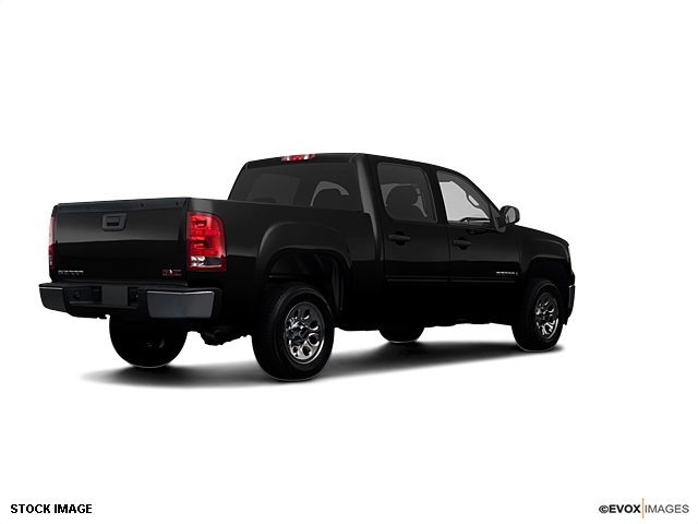 GMC Sierra 1500 2009 photo 3