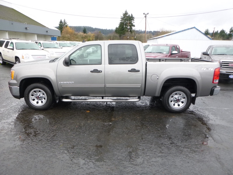GMC Sierra 1500 2009 photo 4