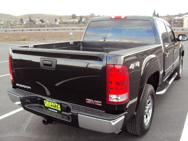 GMC Sierra 1500 2009 photo 2