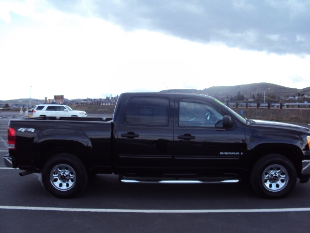 GMC Sierra 1500 2009 photo 3