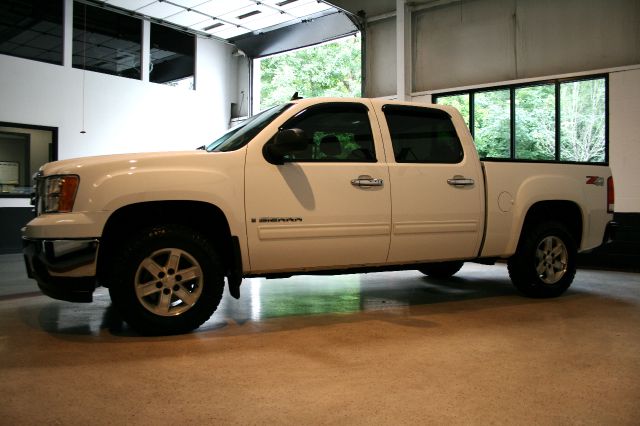 GMC Sierra 1500 2009 photo 3