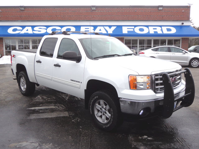 GMC Sierra 1500 2009 photo 4