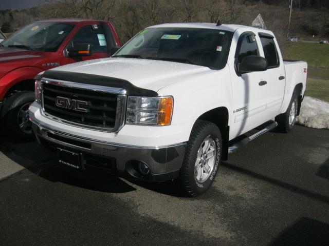 GMC Sierra 1500 2009 photo 2