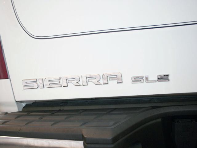 GMC Sierra 1500 2009 photo 2