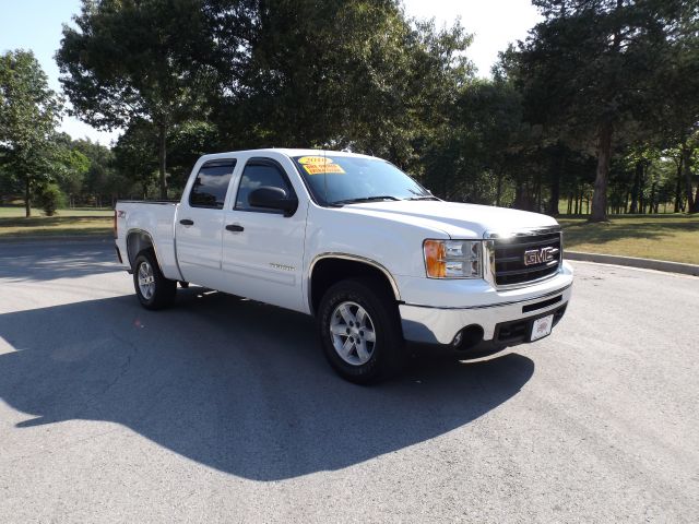 GMC Sierra 1500 2010 photo 2