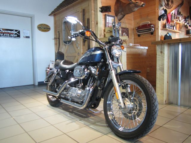 Harley Davidson 883 2003 photo 8