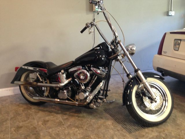 Harley Davidson CUSTOM 1996 photo 1