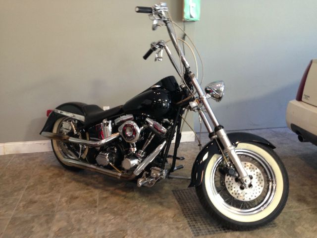 Harley Davidson CUSTOM 1996 photo 5