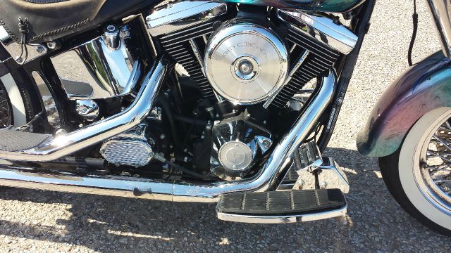 Harley Davidson Fatboy Unknown Motorcycle