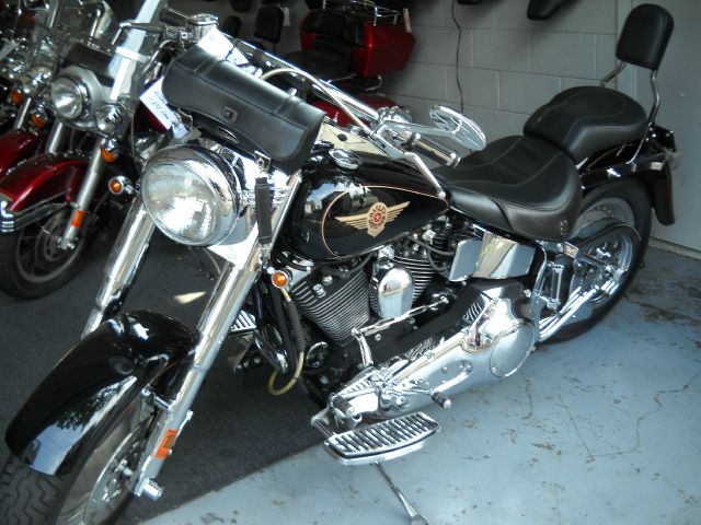 Harley Davidson FLSTF FAT BOY Unknown Motorcycle