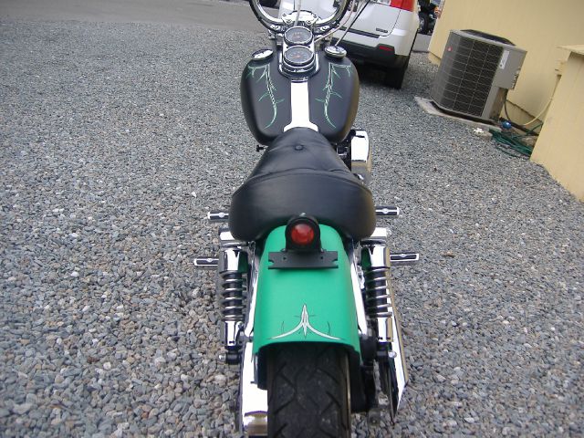 Harley Davidson FXDL 1993 photo 2