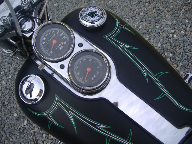 Harley Davidson FXDL 1993 photo 3