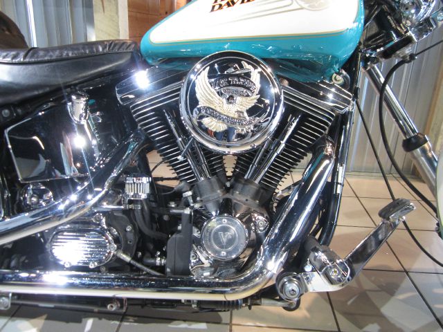 Harley Davidson FXSTC 2014 photo 12