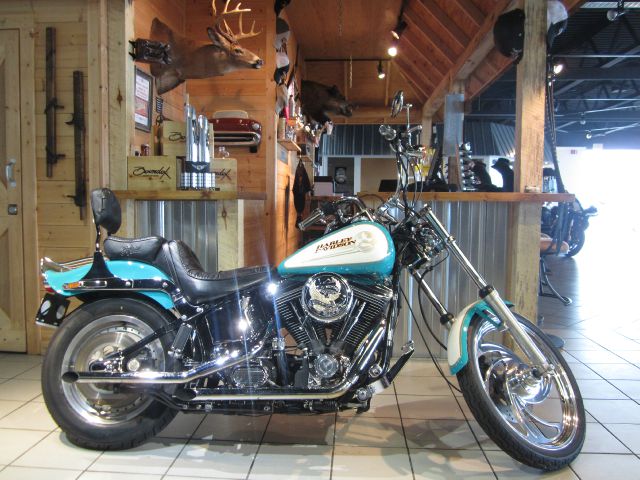 Harley Davidson FXSTC 2014 photo 15