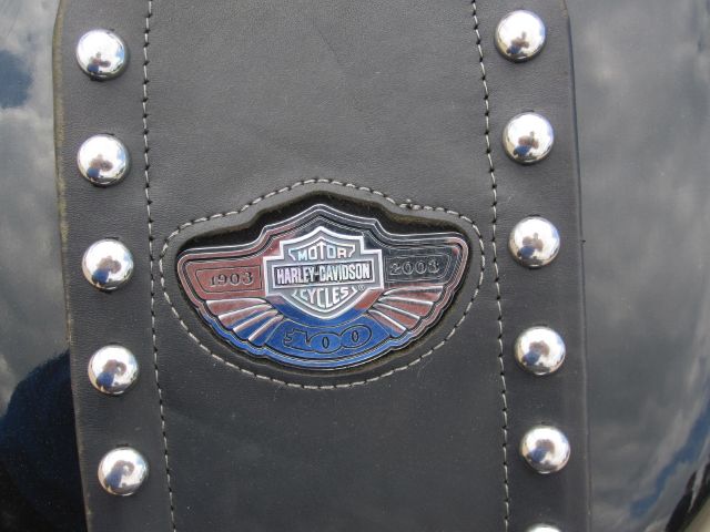Harley Davidson SOFTAIL STANDARD 2003 photo 13
