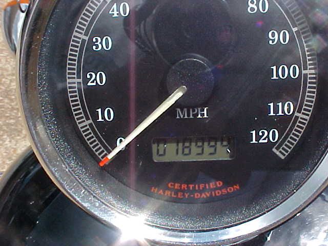 Harley Davidson SPORTSTER 2003 photo 2