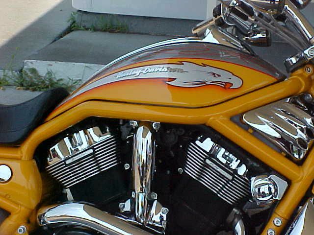 Harley Davidson V-ROD 2006 photo 2