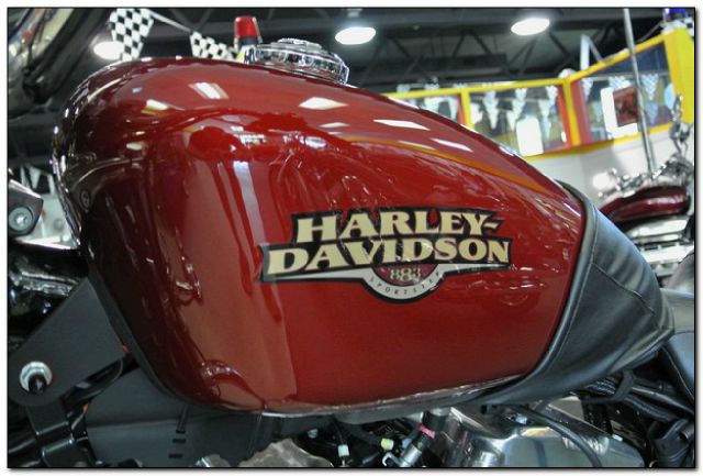 Harley Davidson 883 2009 photo 7