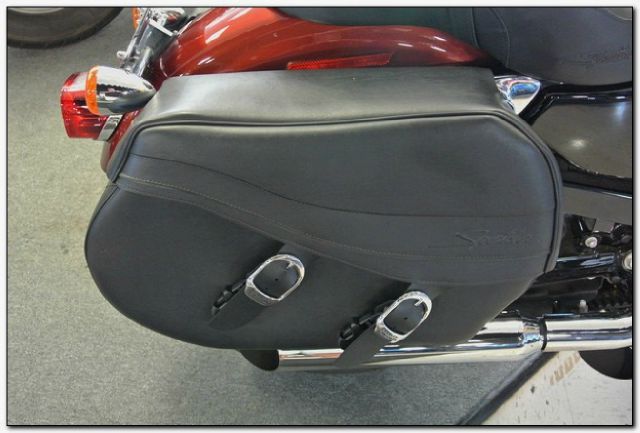 Harley Davidson 883 2009 photo 8