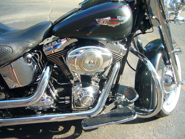 Harley Davidson FLSTN Softail Deluxe 2007 photo 2