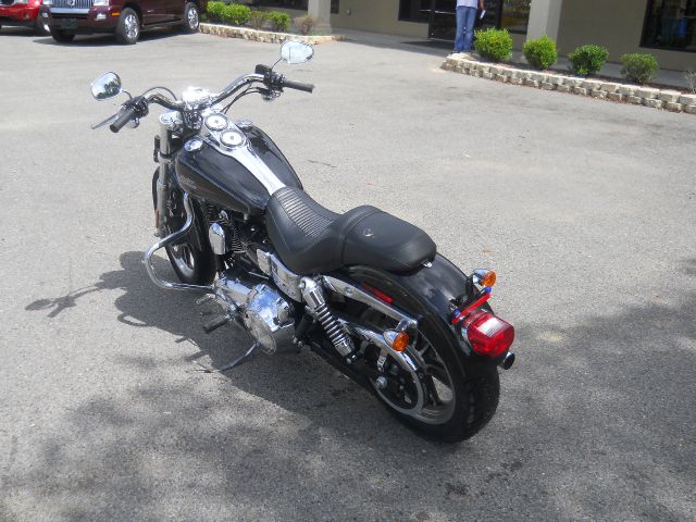 Harley Davidson FXDL Dyna 2009 photo 7