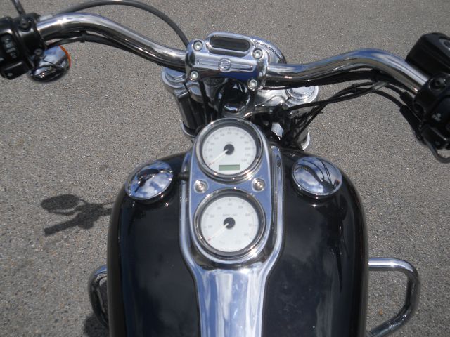 Harley Davidson FXDL Dyna 2009 photo 9