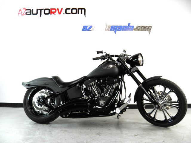 Harley Davidson FXSTB Night Train 2007 photo 1