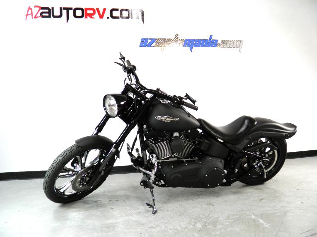 Harley Davidson FXSTB Night Train 2007 photo 2