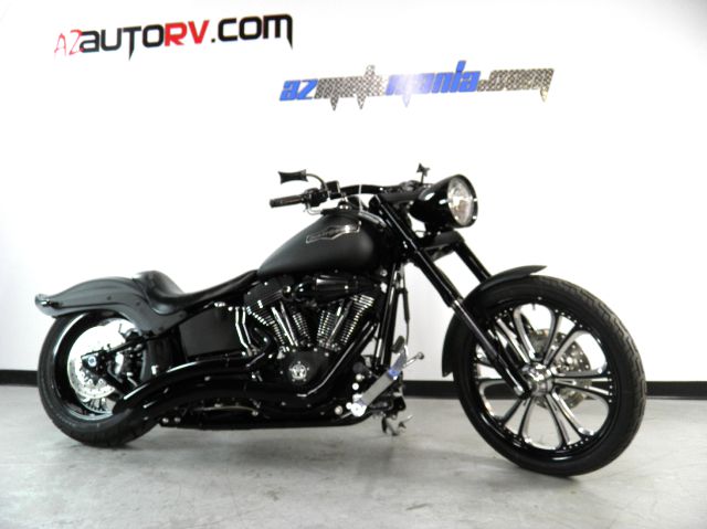 Harley Davidson FXSTB Night Train 2007 photo 3