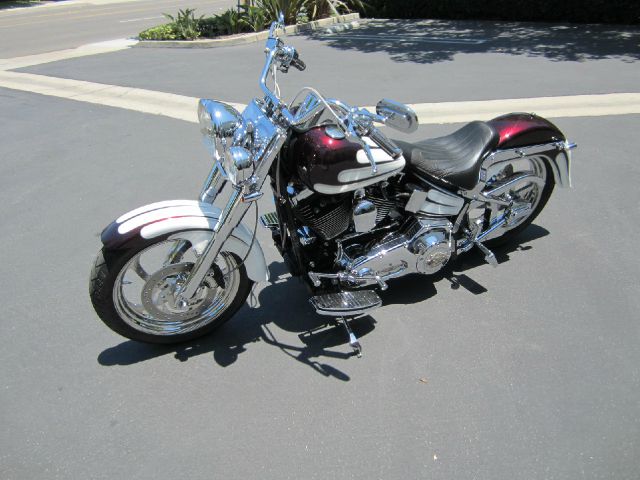Harley Davidson Fatboy 2001 photo 1