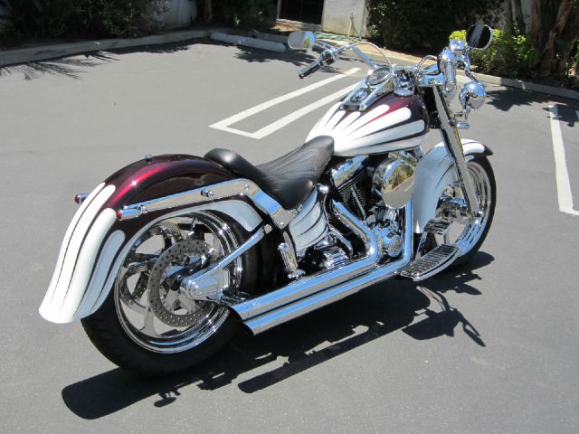 Harley Davidson Fatboy 2001 photo 3
