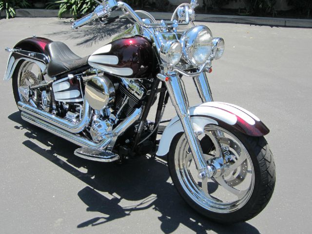 Harley Davidson Fatboy 2001 photo 4