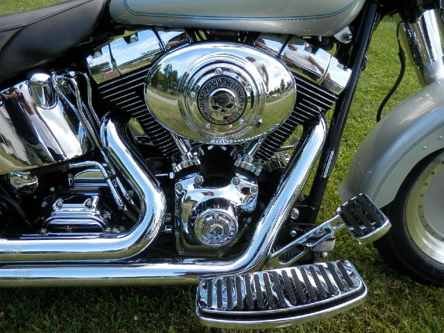 Harley Davidson Fatboy 2004 photo 1