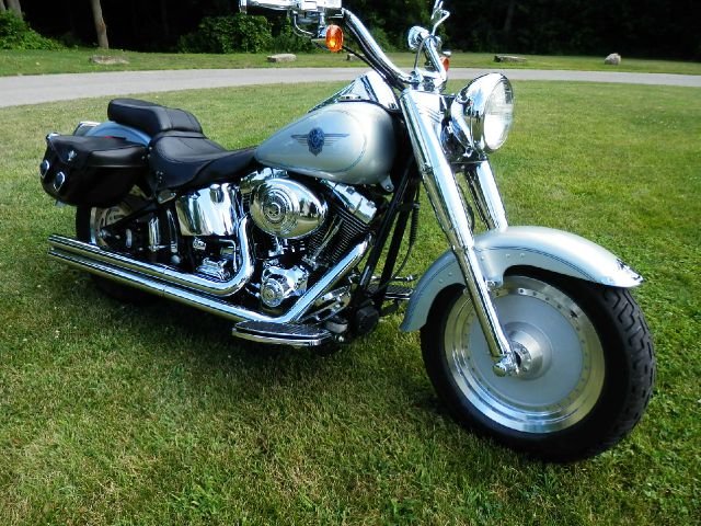 Harley Davidson Fatboy 2004 photo 2
