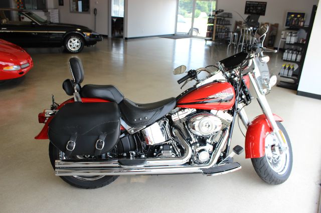 Harley Davidson Fatboy 2010 photo 2
