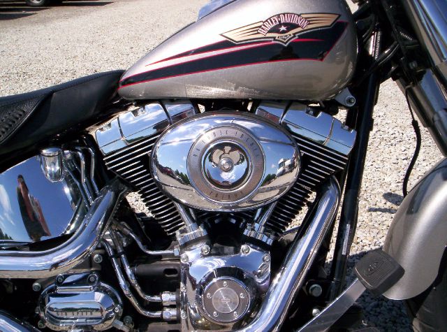 Harley Davidson Fatboy   softail 2007 photo 3