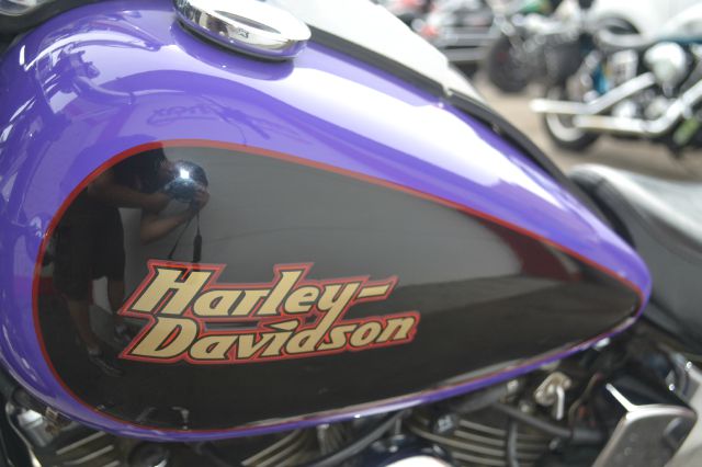 Harley Davidson Softail Custom 1999 photo 1