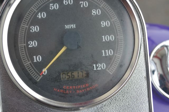 Harley Davidson Softail Custom 1999 photo 10